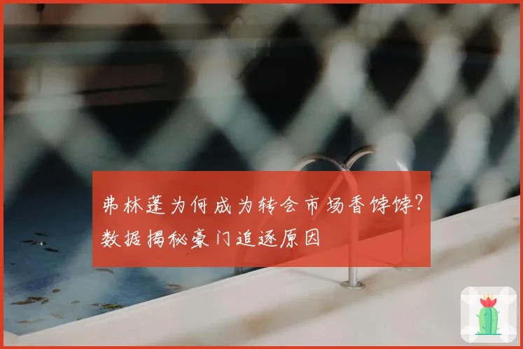 弗林蓬为何成为转会市场香饽饽？数据揭秘豪门追逐原因