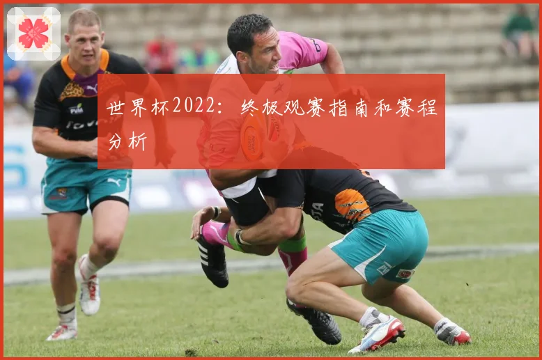世界杯2022：终极观赛指南和赛程分析